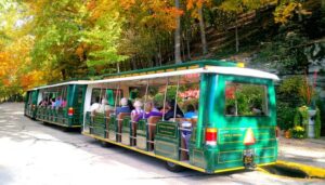 Eureka Springs Fall Foliage