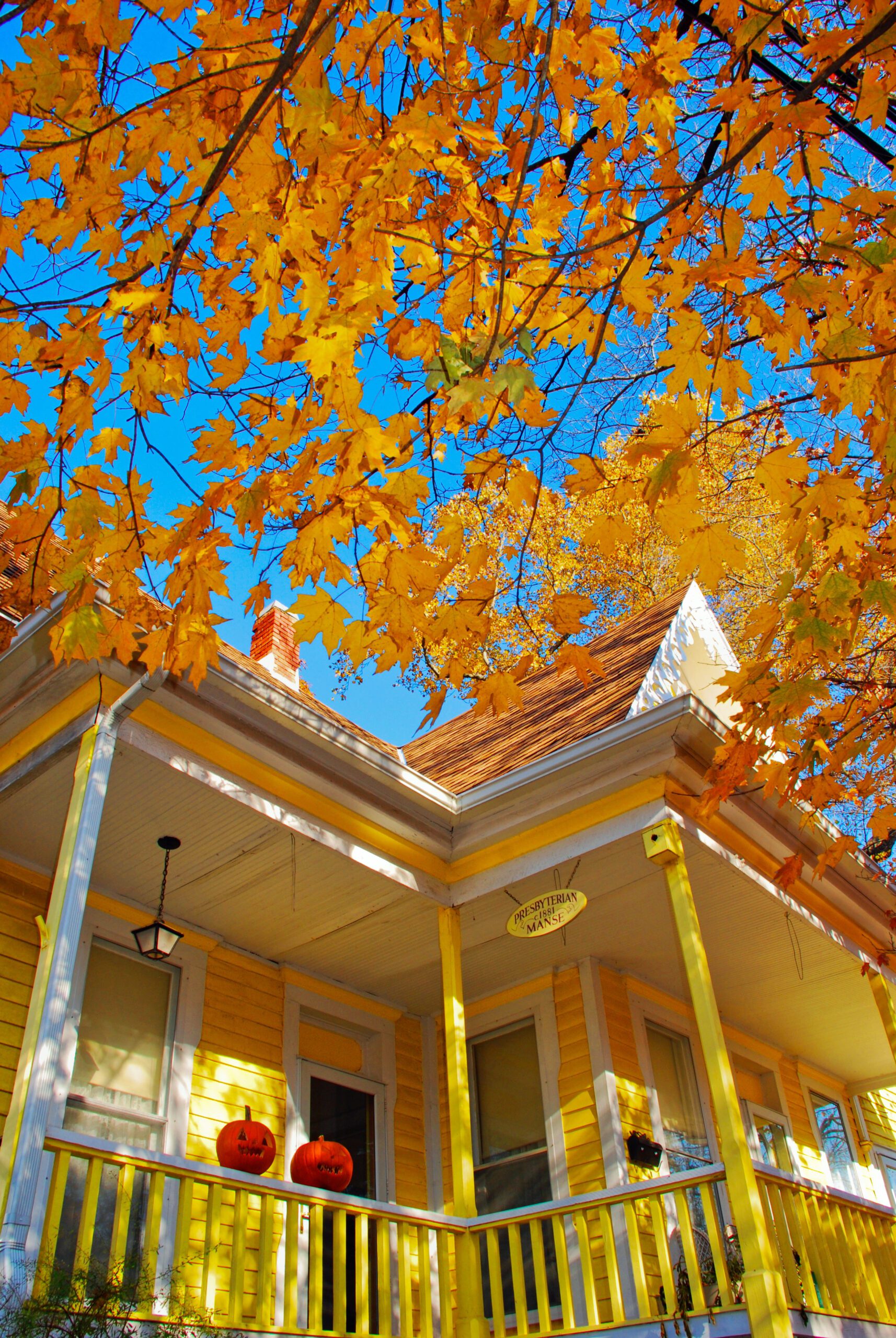 Fall-Leaves-Yellow-House_Pumpkins
