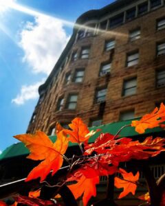 basin park hotel
