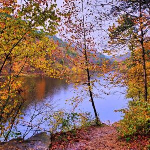 black bass lake