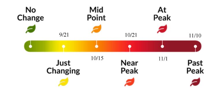 eureka springs fall foliage meter